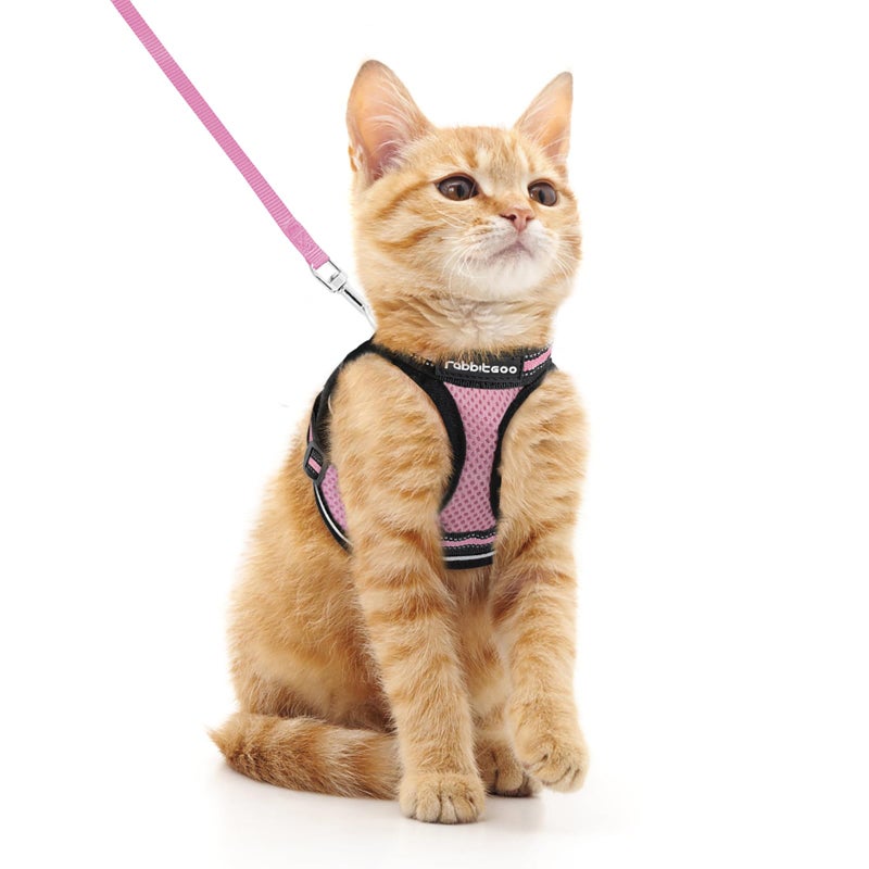 rabbitgoo Cat Harness and Leash Set for Walking Escape Proof, Adjustable Soft Kittens Vest with Reflective Strip for Cats, Comfortable Outdoor Vest, Pink, M - Image 1